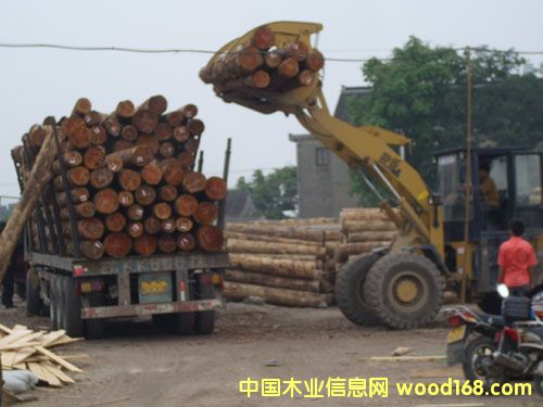 �c(di��n)���鿴�ǽ�ľ�����l(f��)�Ŵ�DƬ