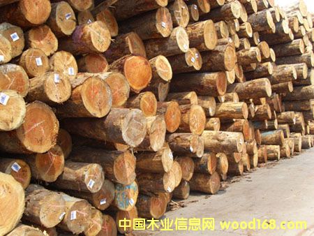 �c(di��n)���鿴�ǽ�ľ�ĳ��ڷŴ�DƬ