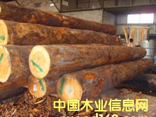 �����ɵ�Ԕ��(x��)��B