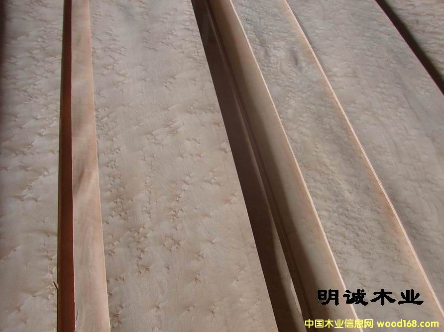 ȸ�۵�Ԕ����B