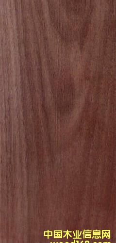 FSC�ں���