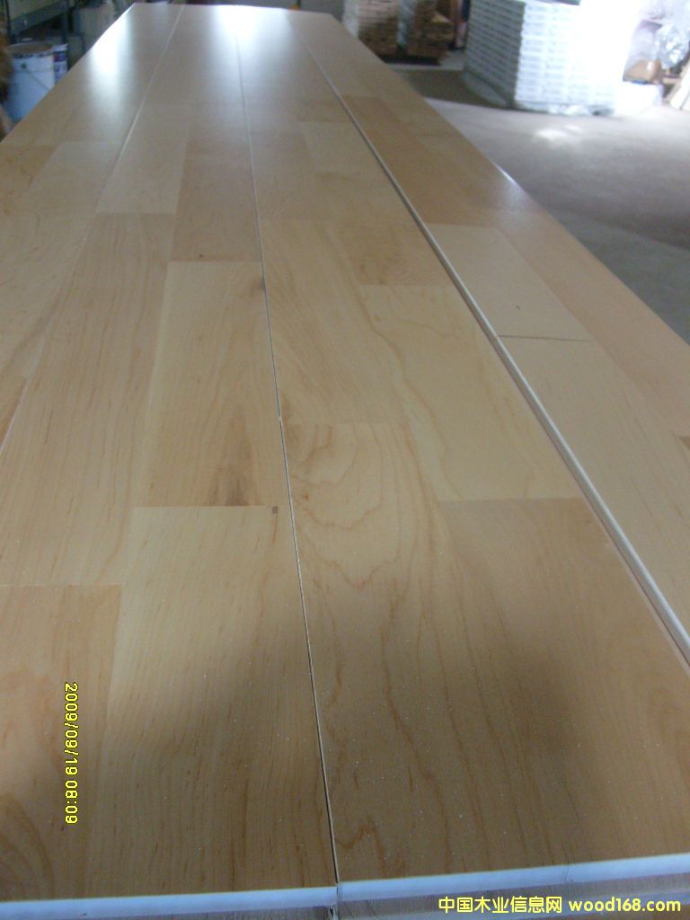 �w���ذ��Ԕ����B