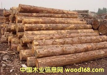 �������_˹�M�����~�ɵ�Ԕ����B