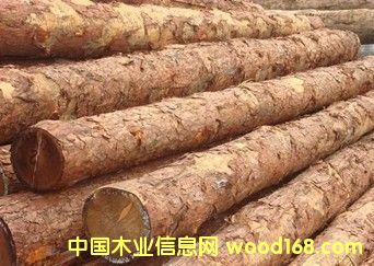 ����˹����ɼ�Fɼ��Ԕ����B