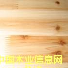 ��ɼľָ�Ӱ�