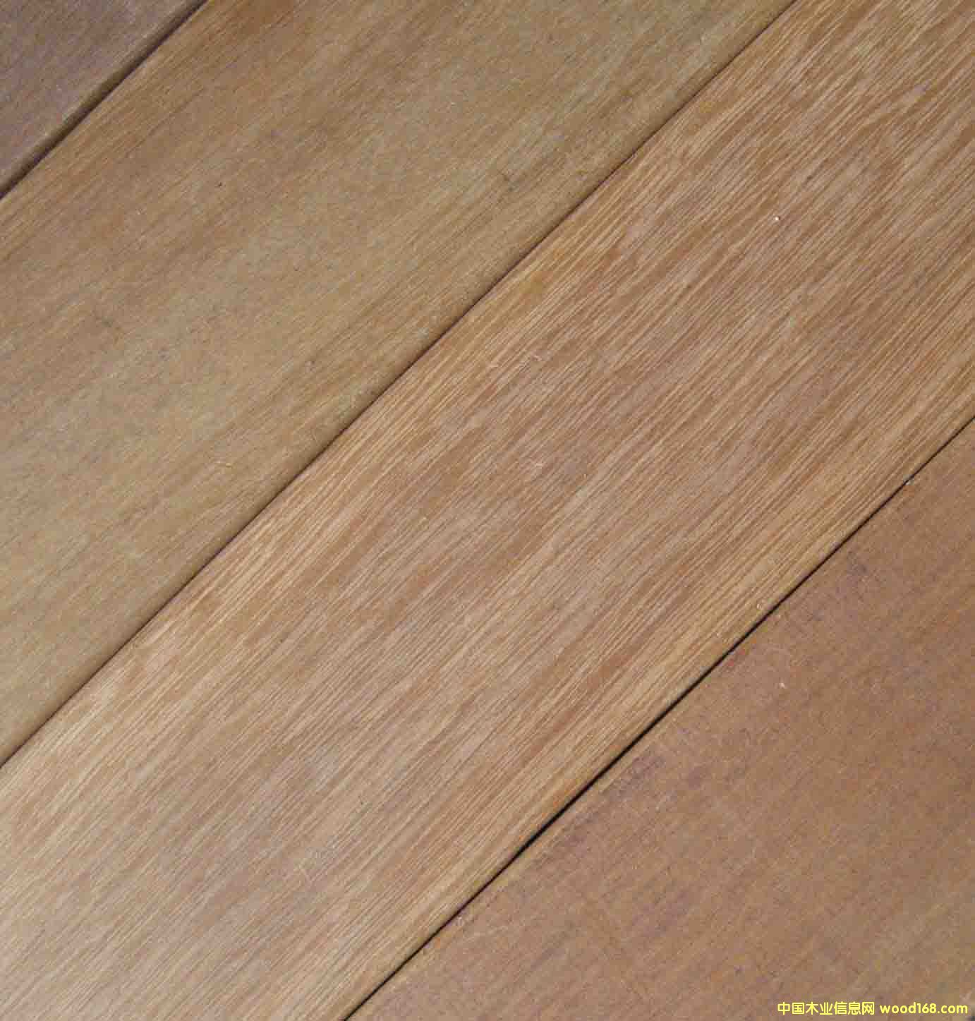 ��̴������