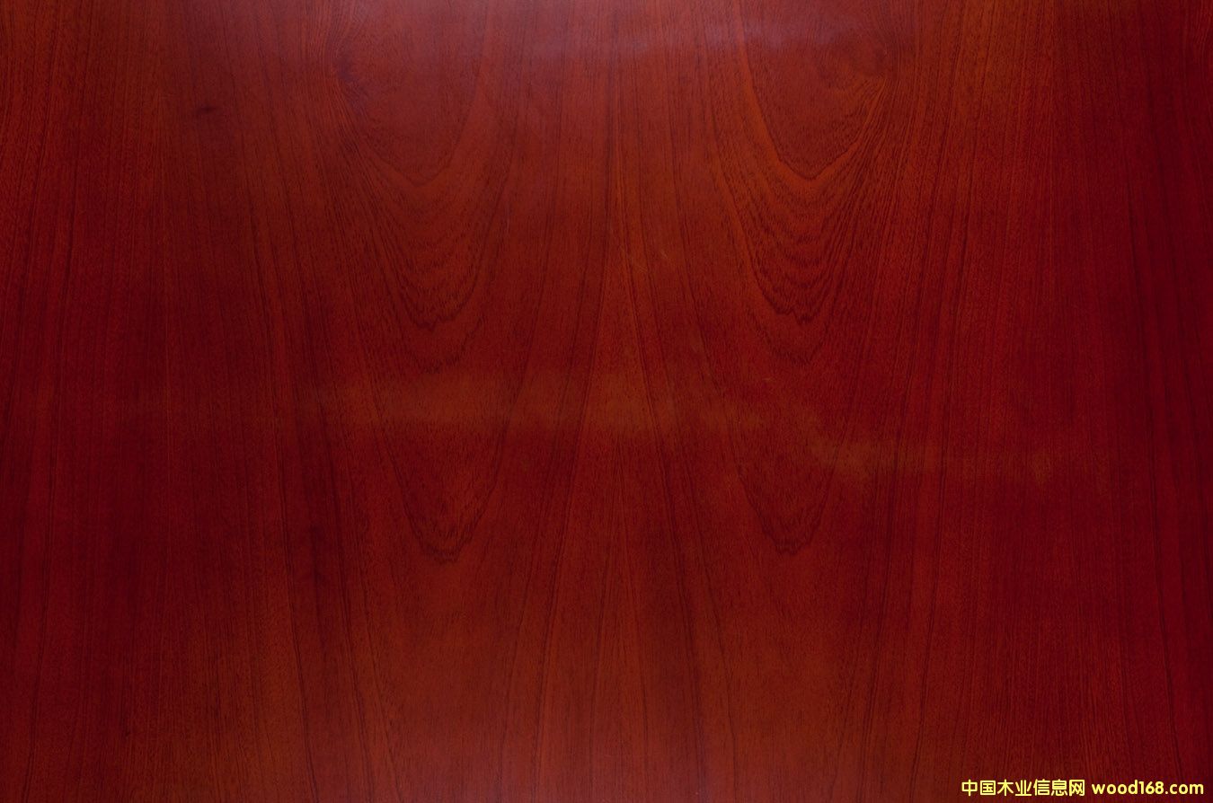 �һ�о��Ԕ����B