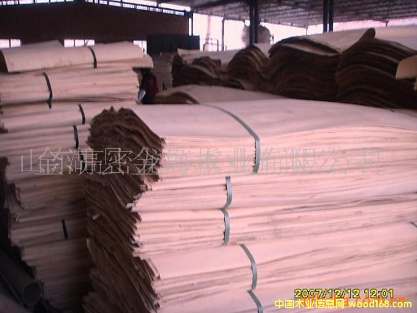 ��ľ��Ƥ