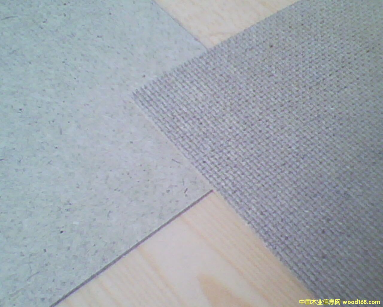 2.5MM�w�S��