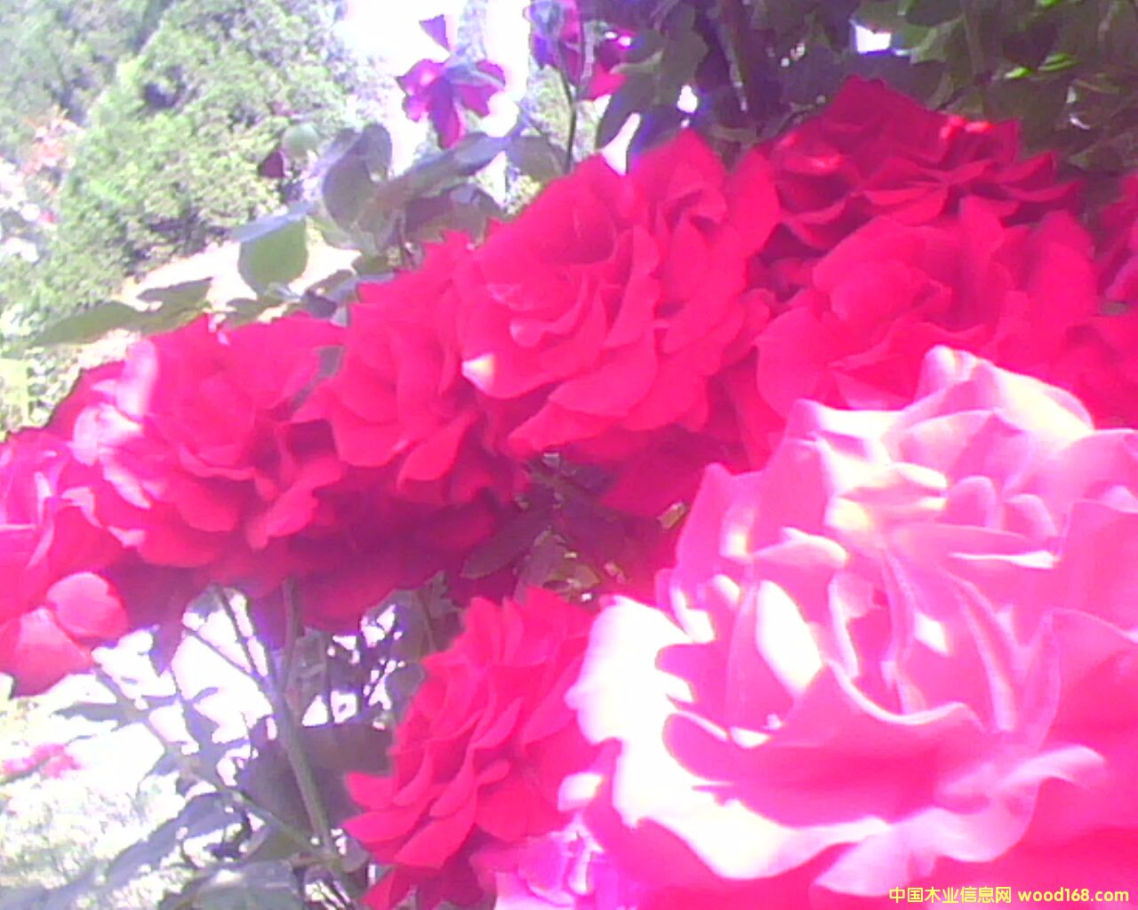 �|����ľ�I���@�־G����