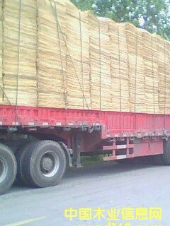 ��Ƥ���ΰ�