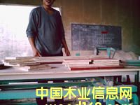 ����ģ��չʾ