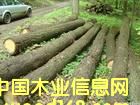 ԭľ��Ԕ����B