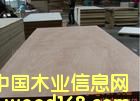 WBP�z�ϰ��Ԕ����B