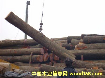 �鶼��˹�һ���ľ��Ԕ����B