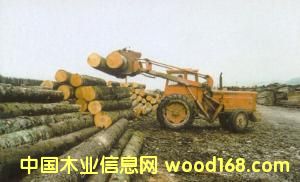 ɼľԭľ��Ƭ��Ԕ����B