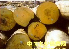 ɽë��ԭľ��Ƭ��Ԕ����B