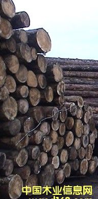 ���P̴��Ԕ����B