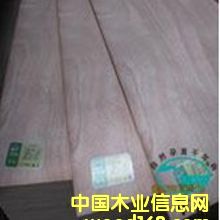 1.7ɼľ��ľ����E1