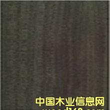 ��̴ ����