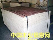 �c���鿴���b���z�ϰ�Ŵ�DƬ