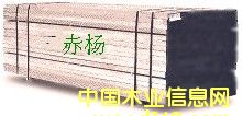 �c���鿴����Ŵ�DƬ