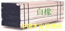 �c���鿴����Ŵ�DƬ