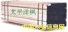 �c���鿴̫ƽ���ľ�Ŵ�DƬ