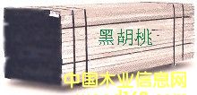�c���鿴�ں��ҷŴ�DƬ