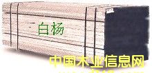 �c���鿴�ח�Ŵ�DƬ
