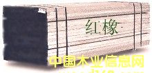 �c���鿴�t��Ŵ�DƬ