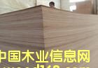 �z�ϰ��Ԕ����B