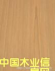 �c���鿴�b�Ŵ�DƬ