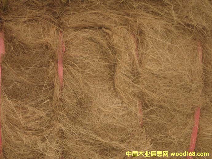 ����(y��ng)Ҭ�ص�Ԕ����B