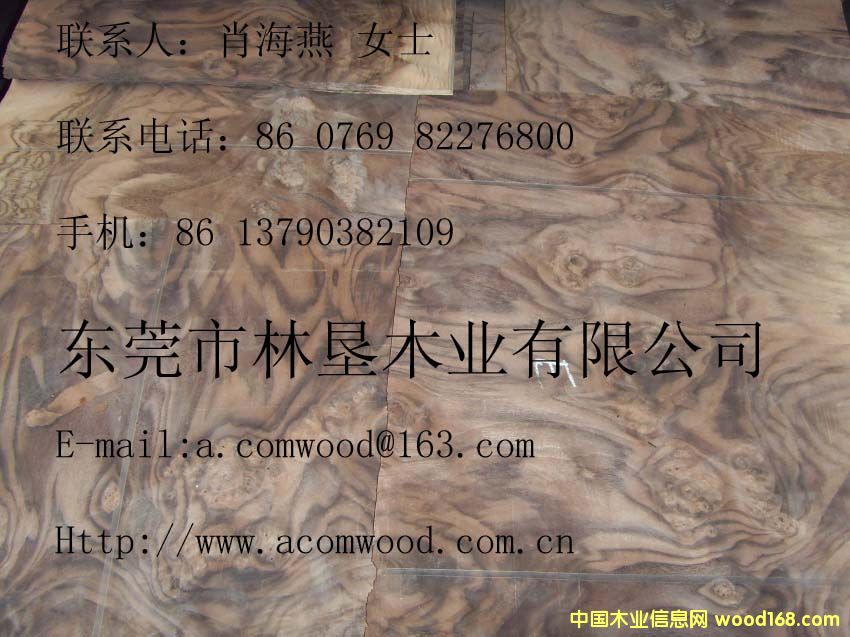 �ں��Ҙ���