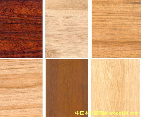 �c���鿴�oȩ��ľ����Ŵ�DƬ