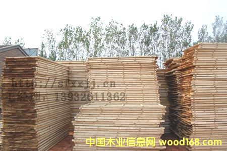 5���Z��Ԕ����B