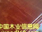 �c(di��n)���鿴��ˮģ��Ŵ�DƬ