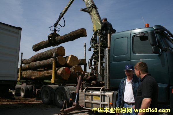 �W�ް���4��Ԕ����B