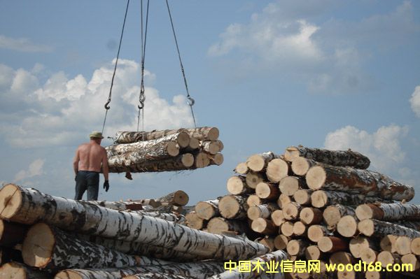 ���_˹�ט�2��Ԕ����B