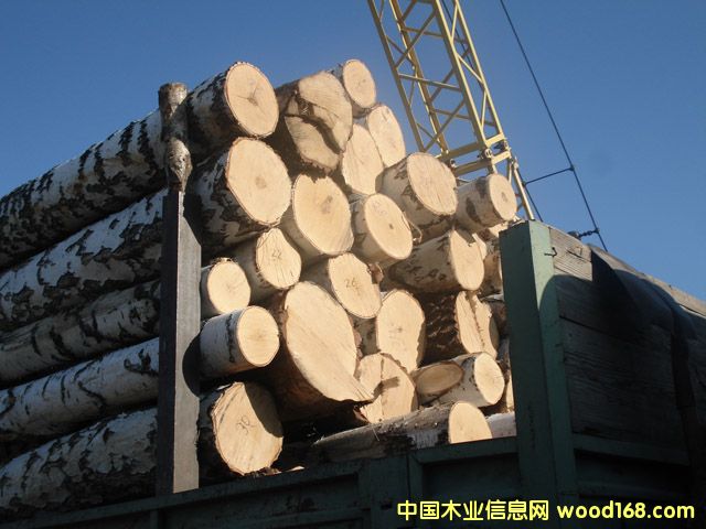 ���_˹�ט�4��Ԕ����B