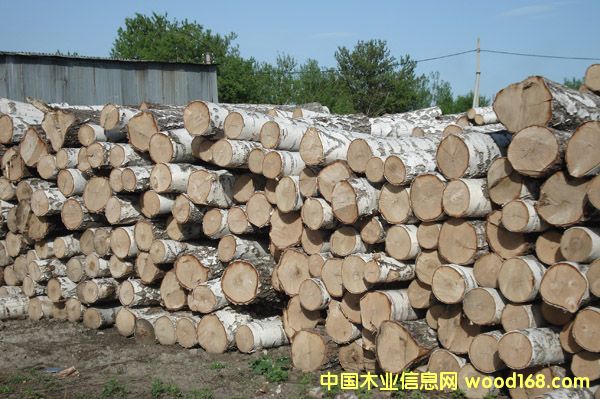 ���_˹�ט�1��Ԕ����B