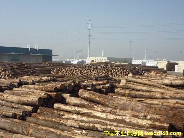 ���ɵ�Ԕ����B