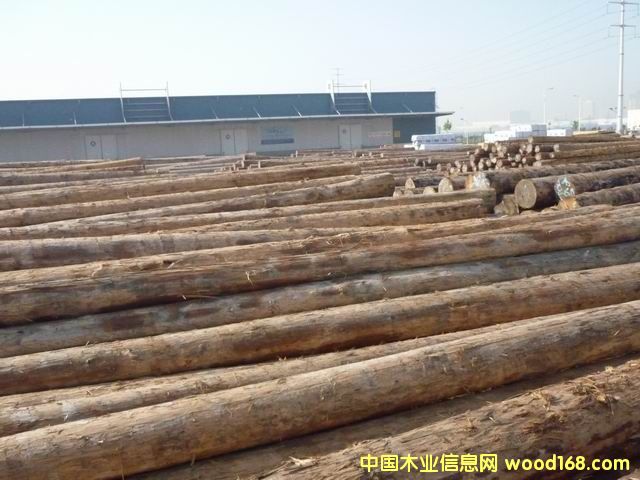 �����ɵ�Ԕ����B