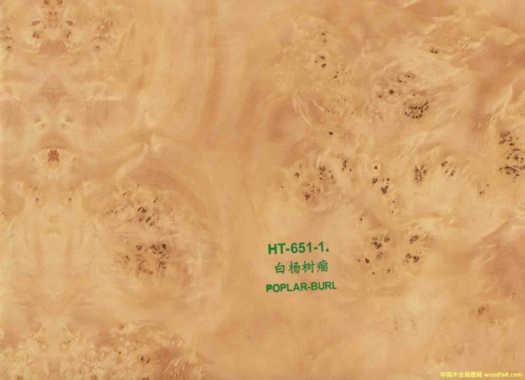 ���(sh��)ľ�y��