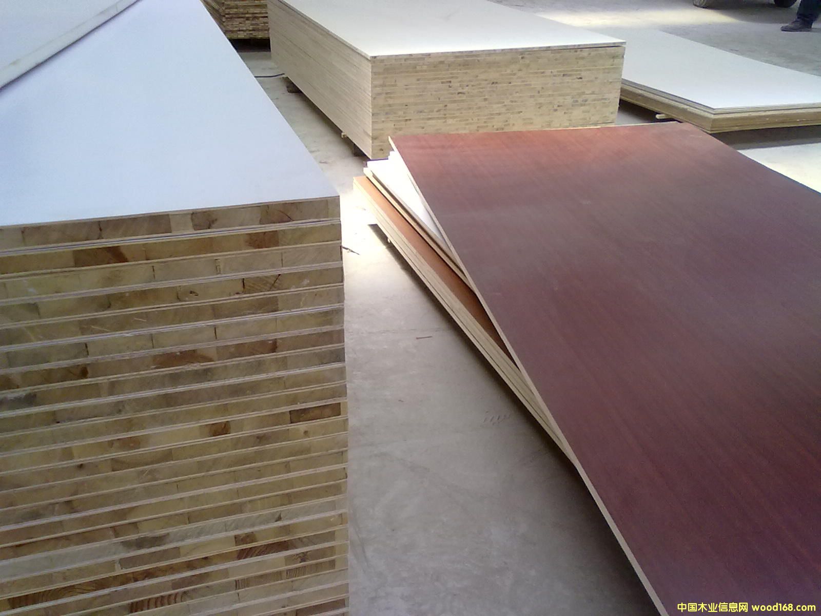 �����谷�N�漚(x��)ľ�����Ԕ��(x��)��B