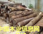 ľ�ġ��Vʯ���U�ϡ�ʳƷ�M�����P��ɫ���� 