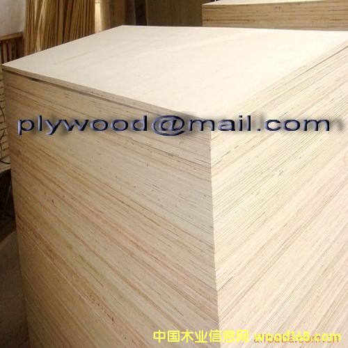 ��ľ�z�ϰ�