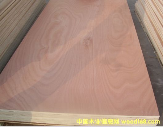 ɼľ��(x��)ľ����ɼľ