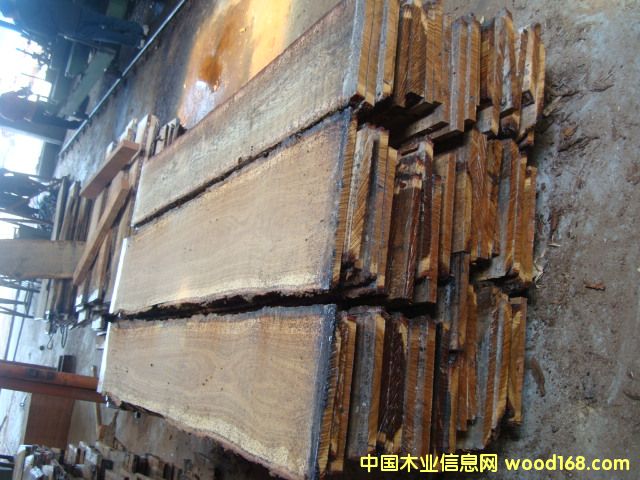 ��Ȼ�����L������ľ���